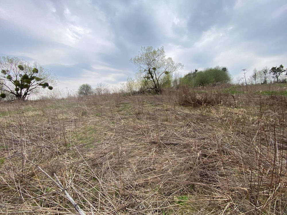 Продаж земельної ділянки 10 соток на вул. Осовиця Кременець - фото 7