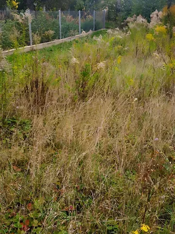 Продажа земельного участка  площадь 5.7 сот Незалежності вулиця  - изображение 7