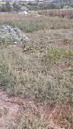 Продаж земельної ділянки 25 соток на вул. Слобожанська 