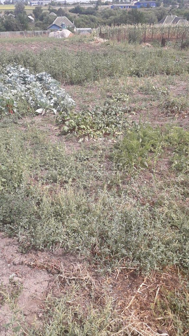 Продаж земельної ділянки 25 соток на вул. Слобожанська  - фото 2