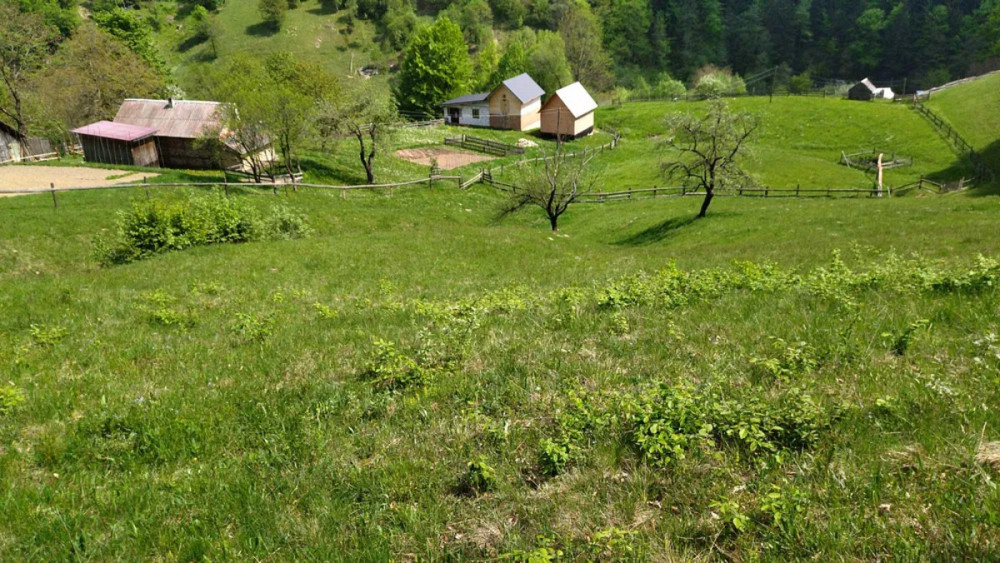 Продаж Будинок Болехів - фото 13