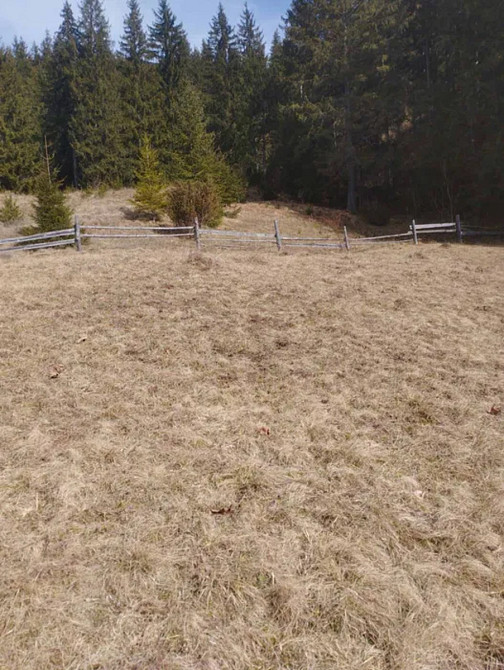 Продаж Будинок на Присілок Довга Verkhnii Yaseniv - photo 12