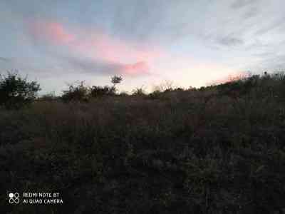 Продаж земельної ділянки 0.1 соток на ул. Прицеповская, 7 Протопопівка