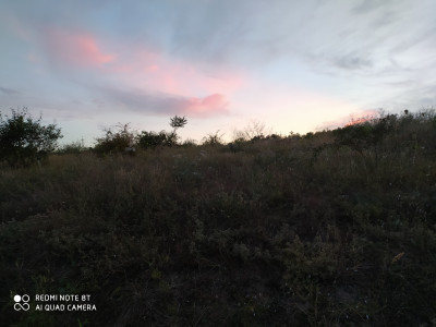 Продаж земельної ділянки 0.1 соток на ул. Прицеповская, 7 Протопопівка - фото 2