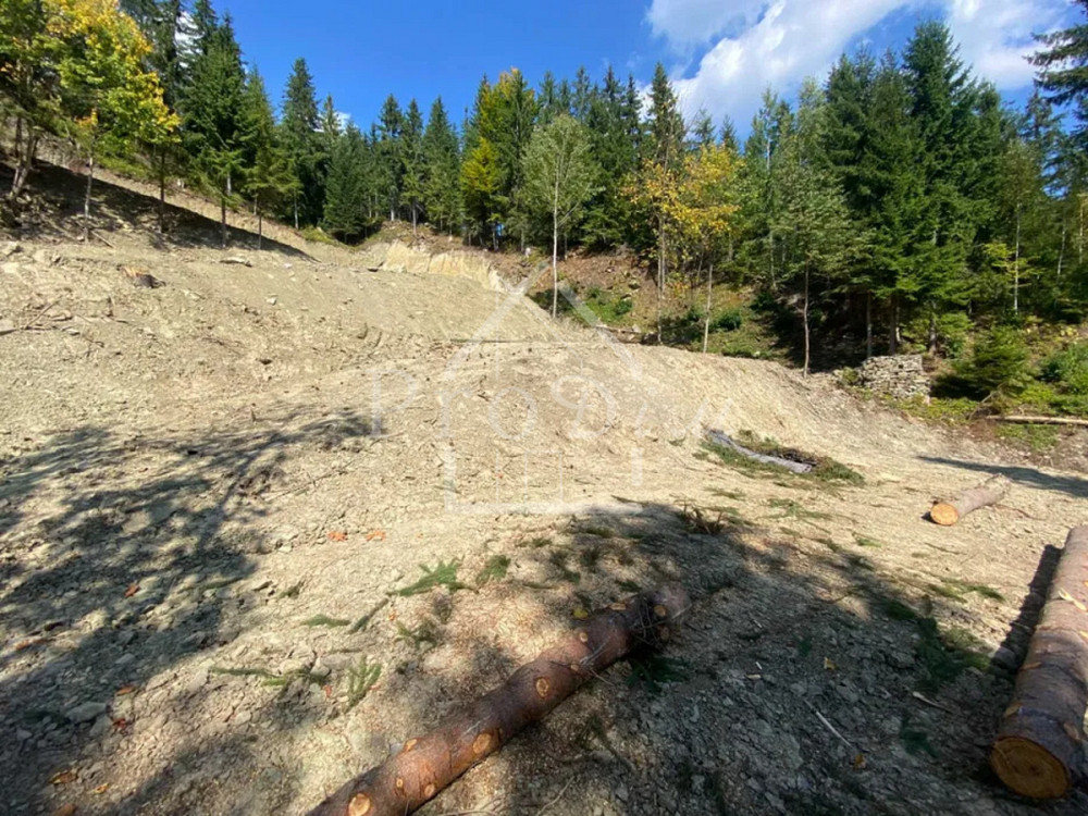 Продаж земельної ділянки 80 соток на Довга Верхній Ясенів - фото 10