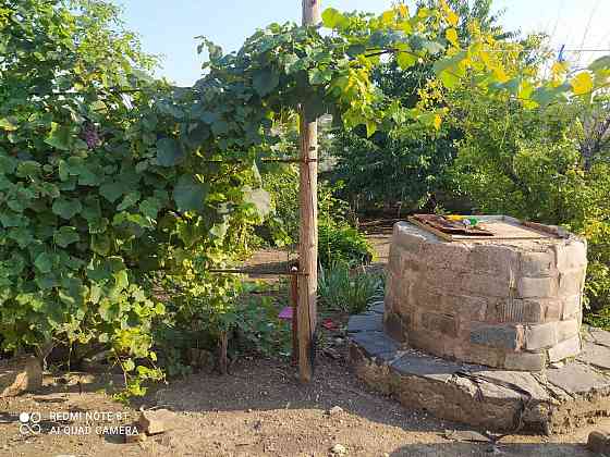 Предлагается к продаже частный дом с готовым бизнесом (действующим фермерским хозяйством) Нерубайське