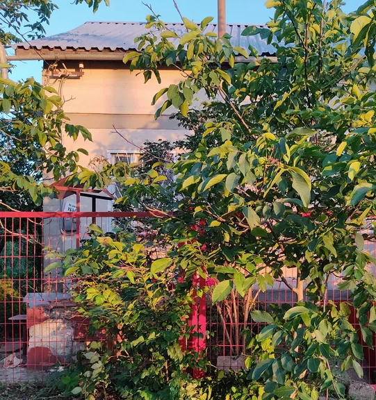 Дом в Алтестово, рядом лес и лиман. Алтестове - фото 1