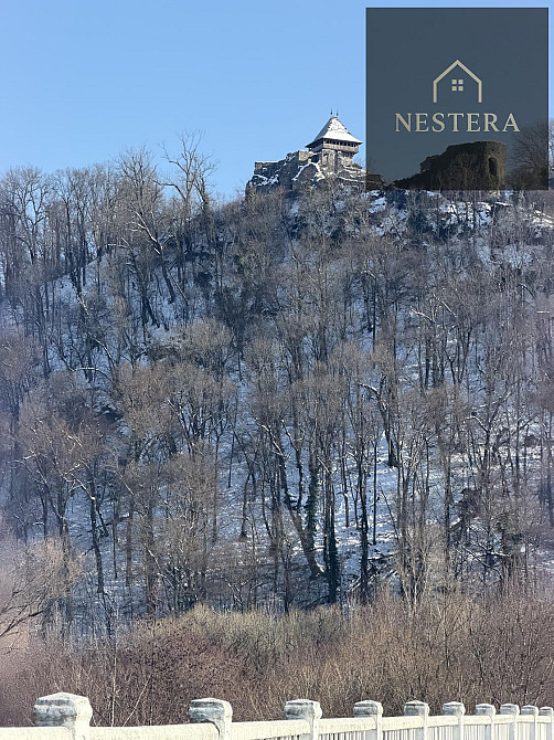 Продаж Будинок Невицьке - фото 6