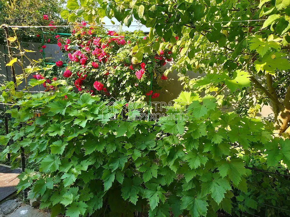 Продаж Будинок 4-кімнатний на вул. Західна  - фото 8