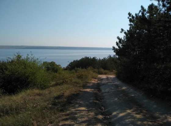 Дом в Калиновке Калинівка (Іванівський район)