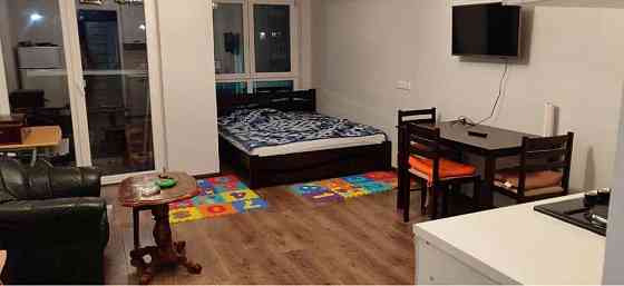 Оренда Квартира 1-кімнатна, 1/24 поверх Київ