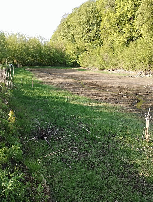 Продаж земельної ділянки 7 га на Городище Zhytomyr - photo 3