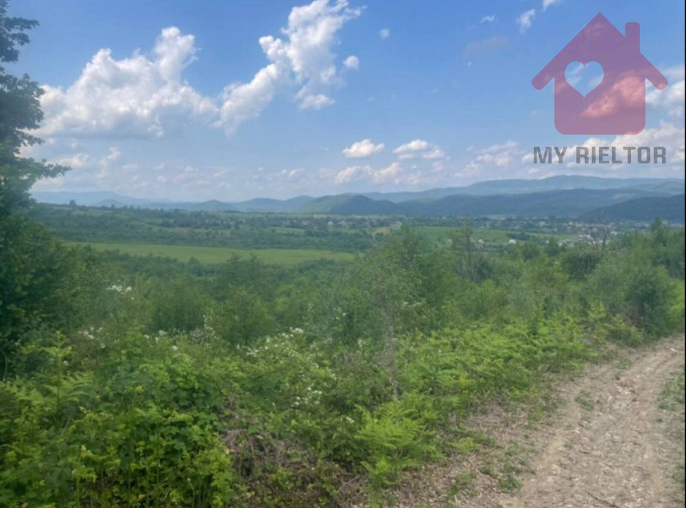 Продаж земельної ділянки 10 соток  - photo 1