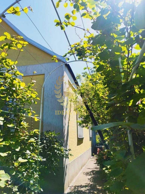 Продам будинок в смт. Гребінки  - фото 4