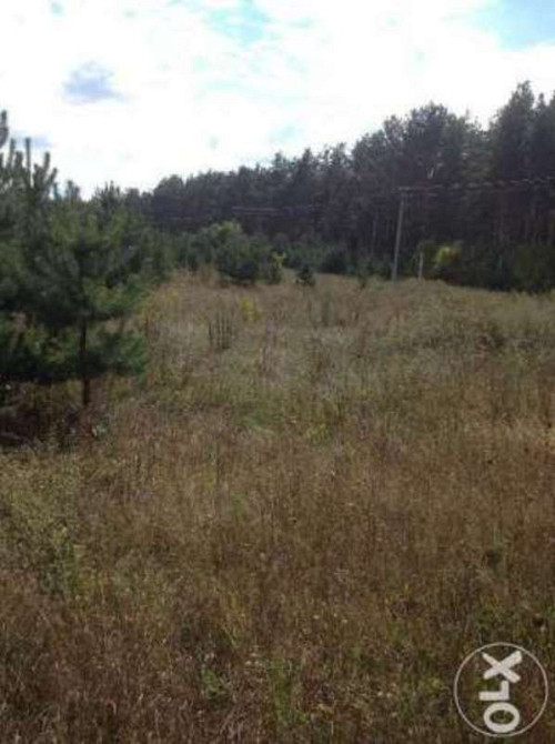 Продаж земельної ділянки 25 соток Проців - фото 2