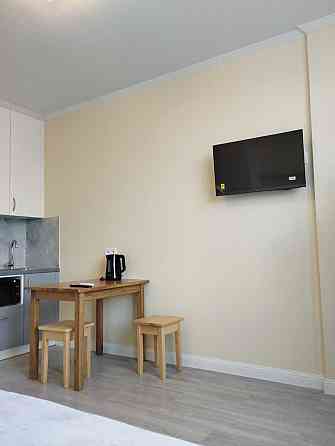 Оренда Квартира 1-кімнатна, 4/21 поверх на вул. Братів Чибінєєвих, 8А Киев