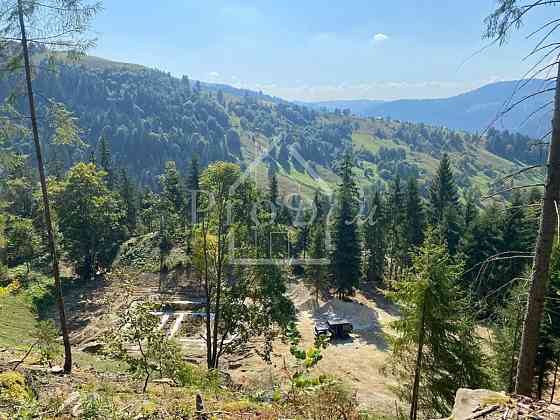 Продаж земельної ділянки 80 соток на Довга Верхній Ясенів