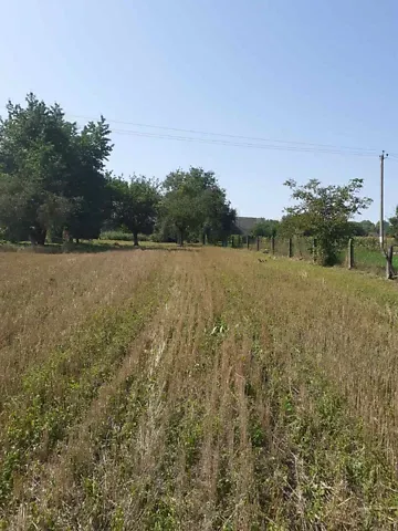 Продаж 1-поверховий   60 кв.м 3 кімн.   - фото 7