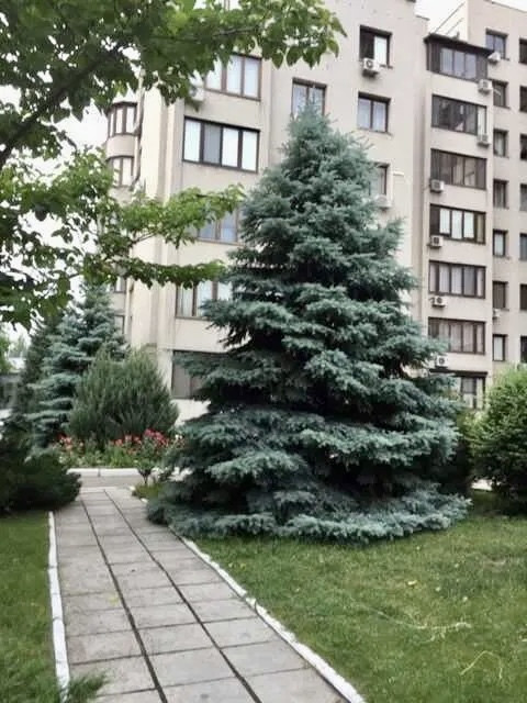 Продаж Квартира 4-кімнатна, 4/8 поверх на Шевченко проспект, 29а Одеса - фото 9