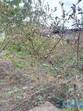 Продаж земельної ділянки 0.1 соток на ул. Интернационалистов, 3 