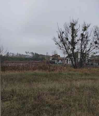 Продаж земельної ділянки 22 соток на Велики Кошарища садове товариство Житомир