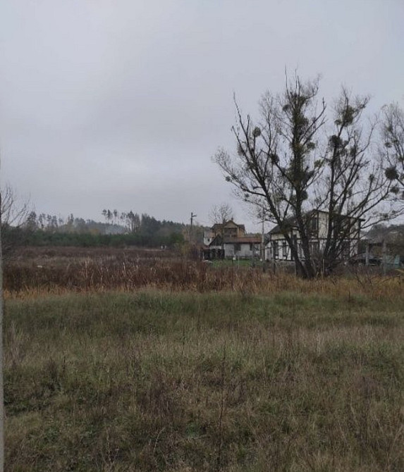 Продаж земельної ділянки 22 соток на Велики Кошарища садове товариство Житомир - изображение 3