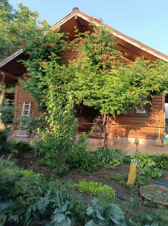 Продаж Будинок 3-кімнатний на ул. Садовая, 26 Нова Дофінівка