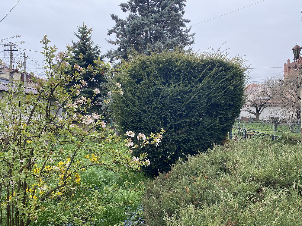 Дом-усадьба у моря и Дубовой рощи — место, где хочется жить Одеса - фото 18