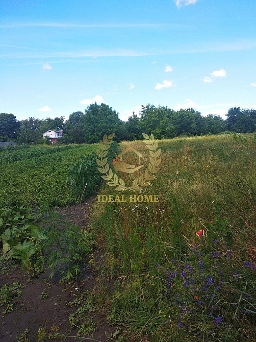 Продаж земельної ділянки 23 соток на Полевая ул., 6 Ustymivka - photo 7