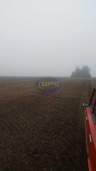 Продаж земельної ділянки 10 га Сичавка - фото 1