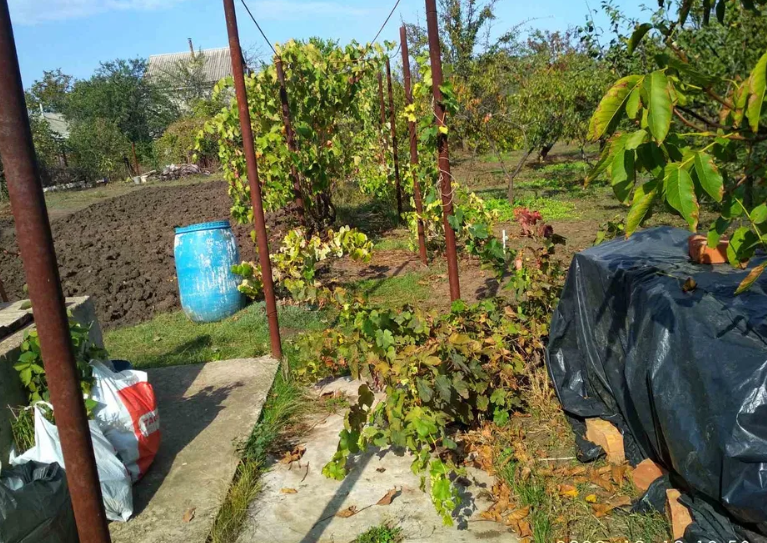 Продам дачу, станция Черноморская (Колосовское направление) Чорноморське - фото 9