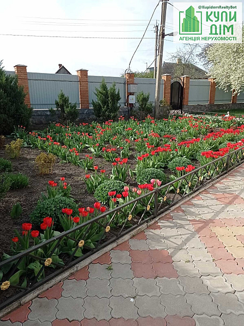 Продам будинок + бізнес!!! 10 хв від Жадова Іванівка (Бобринецький район) - фото 17