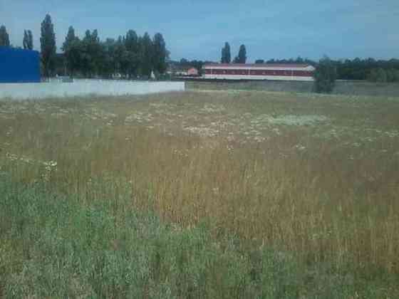 Продаж земельної ділянки 3.39 га 