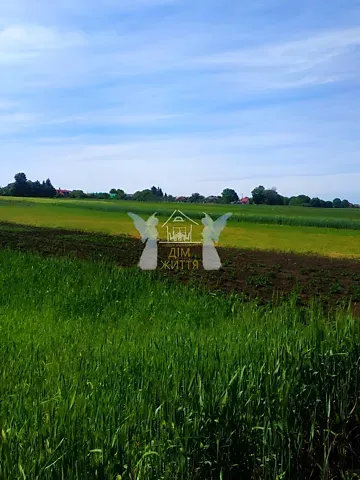 Продажа земельного участка  площадь 29.6 сот Шевченка вулиця  - изображение 8