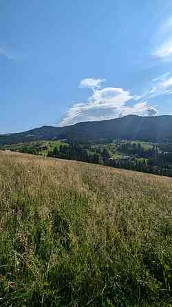 Продаж земельної ділянки 60 соток на Рикалівка Zamahora