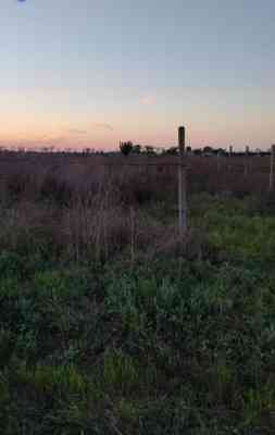 Продаж земельної ділянки 0.1 соток на ул. Радостная, 11 Dobrooleksandrivka