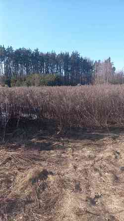 Продаж земельної ділянки 21 соток Клевань