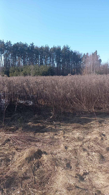 Продаж земельної ділянки 21 соток Клевань - фото 3