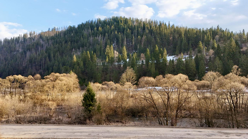 Продаж земельної ділянки 44.6 соток на вул. Шевченка Тухля - фото 15