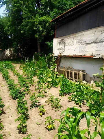 For sale land plot  area 13.6 ares вул. Личаківська 44  - photo 3