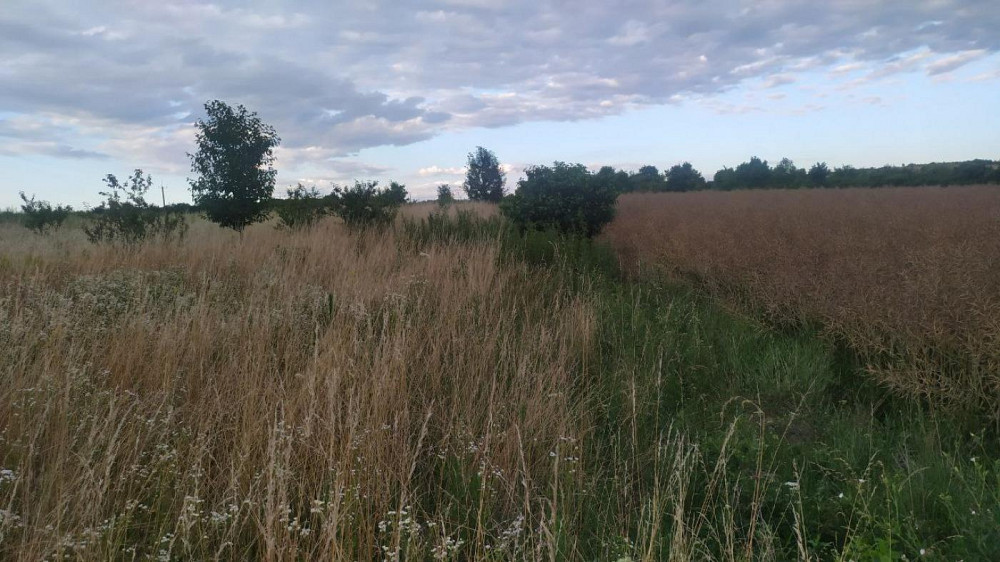 Продаж Квартира Ямпіль - фото 1