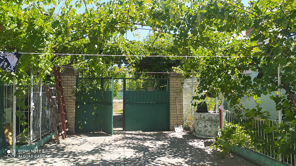 Продам дом в с. Выгода 40 км.от города Вигода - фото 1