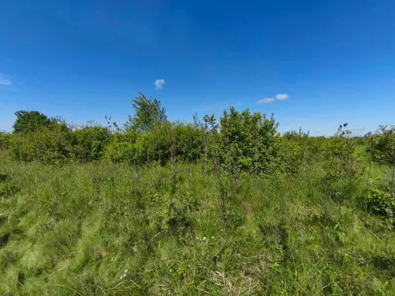 Продаж земельної ділянки Для сільськогосподарської діяльності площа 8 сот Польова Кінчеш