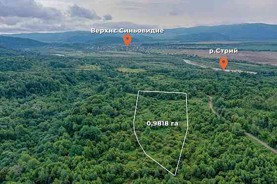 Продаж земельної ділянки 1 га на вул. Шевченка Верхнє Синьовидне