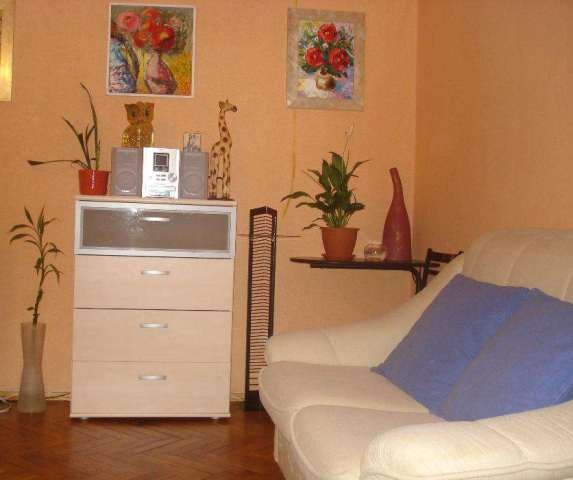 Оренда Квартира 1-кімнатна, 4/9 поверх на вул. Велика Васильківська Киев - изображение 3