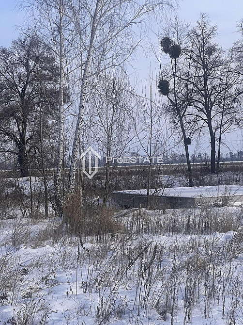 Продаж земельної ділянки 2 га Hnidyn - photo 20