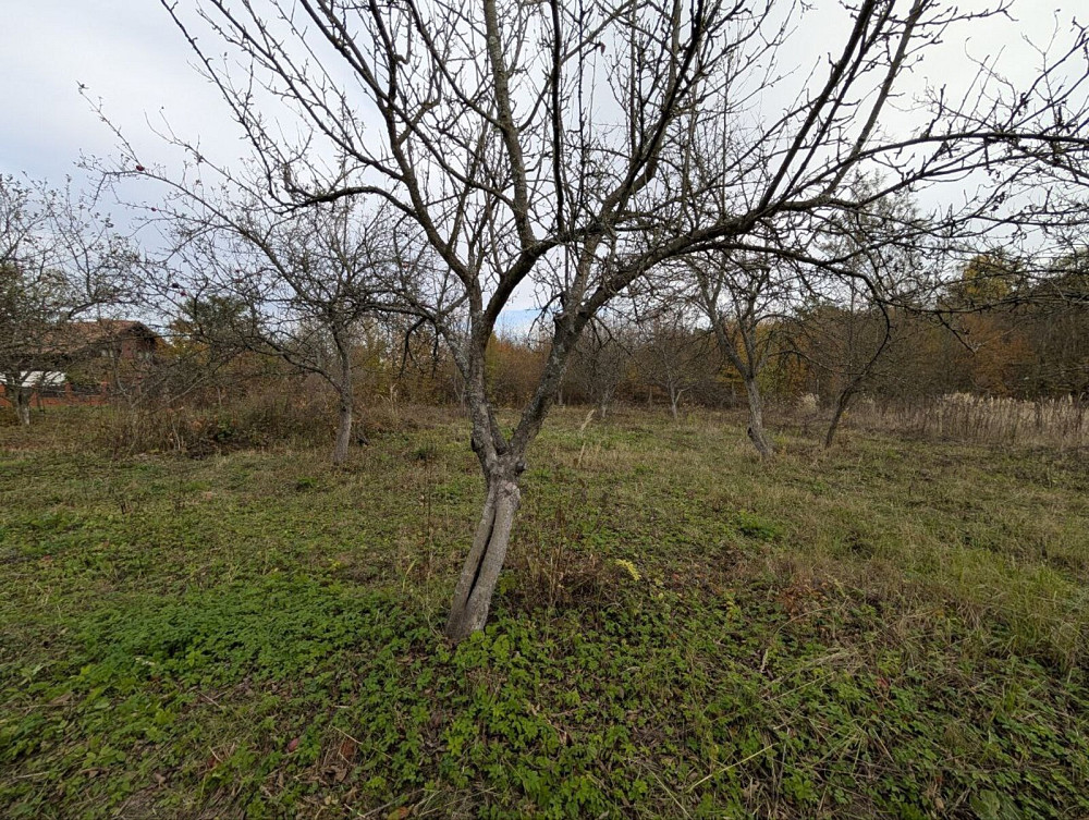 Продаж земельної ділянки 25 соток на Лесі Українки Посіч - фото 7