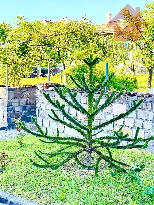 Продаж будинку Нижня Червениця! Uzhhorod - photo 2