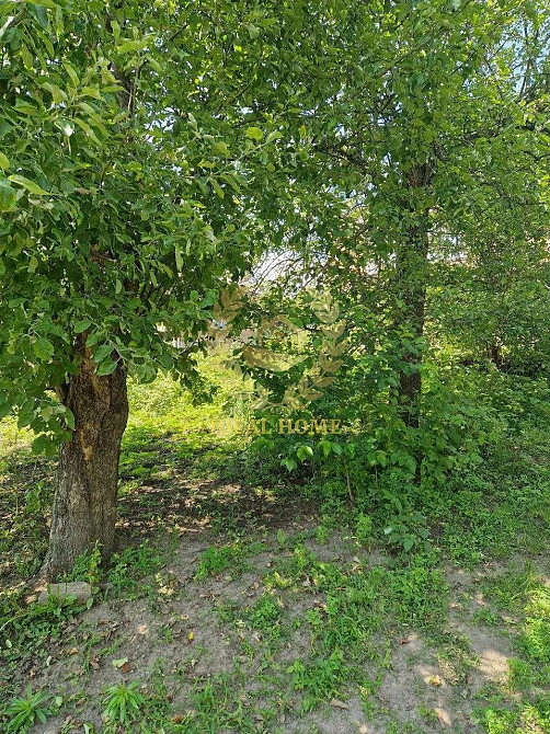 Продаж Будинок 4-кімнатний на Барвиновка ул., 21 Кагарлик - фото 19