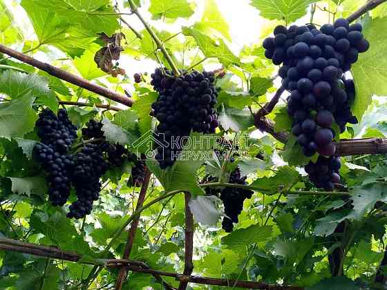 Продаж Будинок 2-кімнатний на вул. Гагаріна Харків